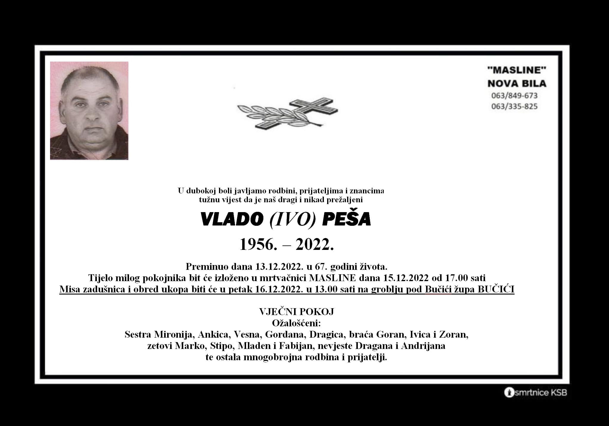 Pročitajte više o članku Vlado (Ivo) Peša